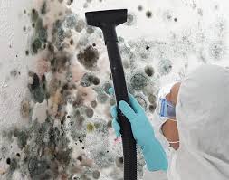 Best Residential Mold Inspection & Testing  in Owensville, MO